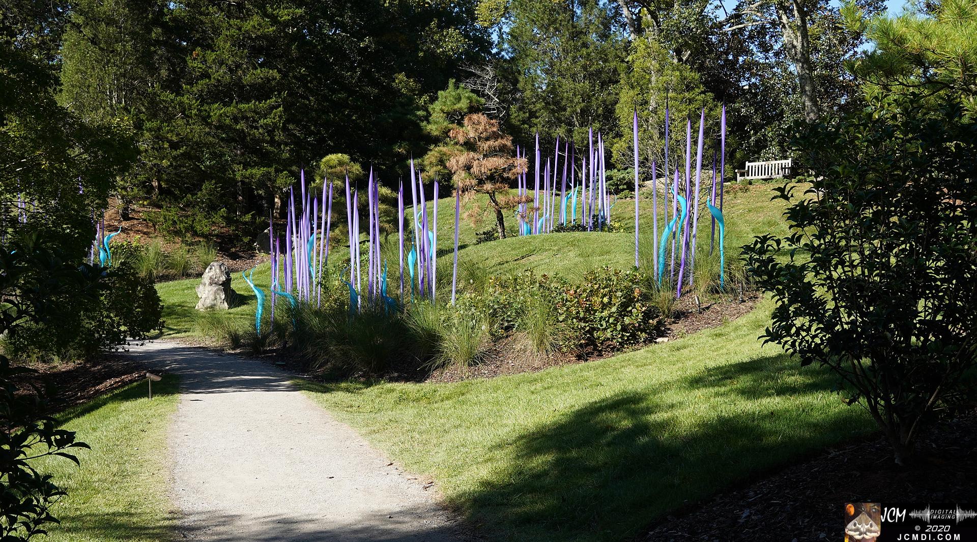 20200930 CheekWood Chihuly - Blue and violet reeds